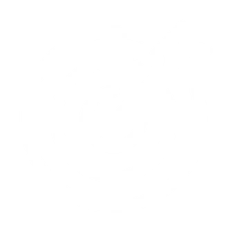Icono misión
